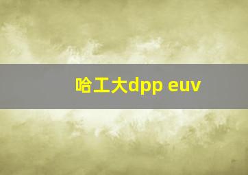 哈工大dpp euv